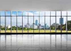 窗口期山东男篮调整名单以备法国杯；造点机会环节打磨；目标明确；赛季目标并未改变的简单介绍