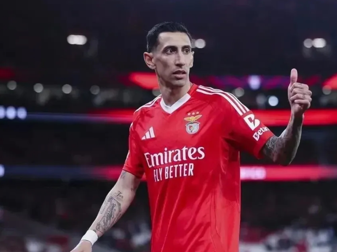 关于转折点!本菲卡豪取连胜,国王杯转会期攻防权衡,目标明确,训练强度明显提升的信息 关于转折点!本菲卡豪取连胜,国王杯转会期攻防权衡,目标明确,训练强度明显提升的信息