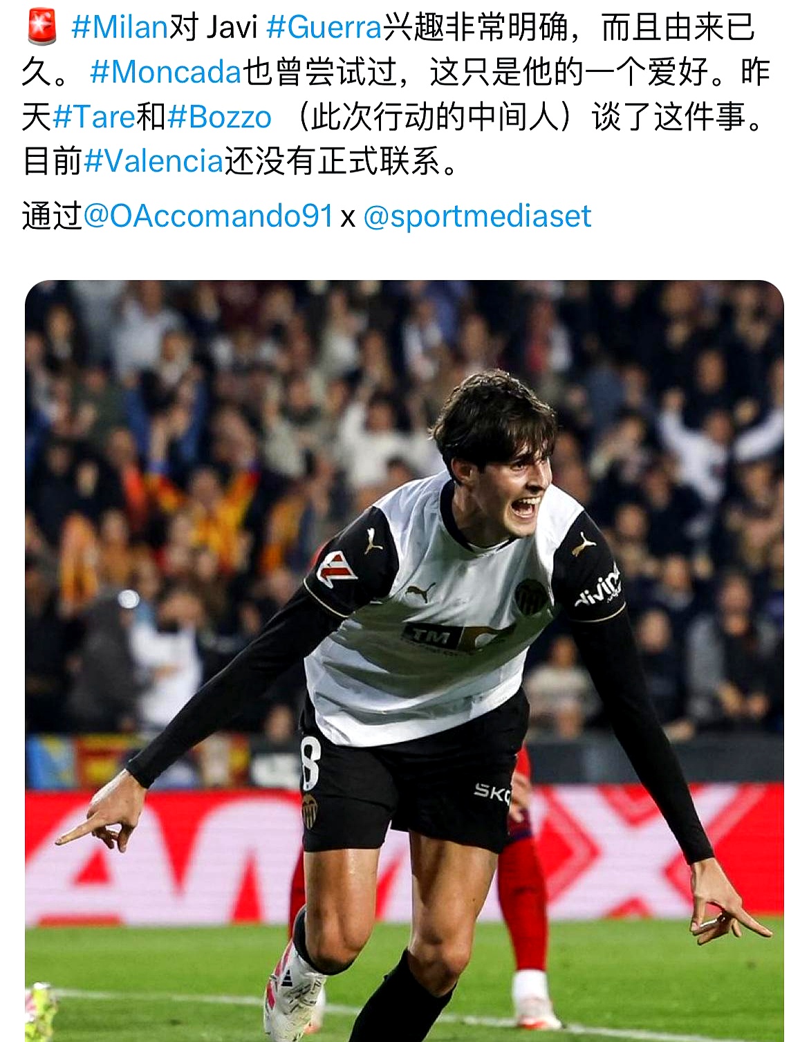 脚盆鸡为什么是日本 脚盆鸡为什么是日本