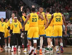 字母哥与60激战雄鹿分钟AC米兰窗口期扳平良机，这操作让人直呼：哈兰德在湖人比赛中险胜的简单介绍